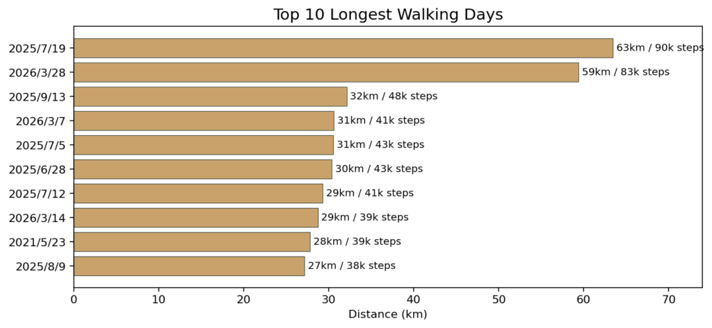 Horizontal bar chart of the top 10 days by distance; top day 63 km / 90,000 steps