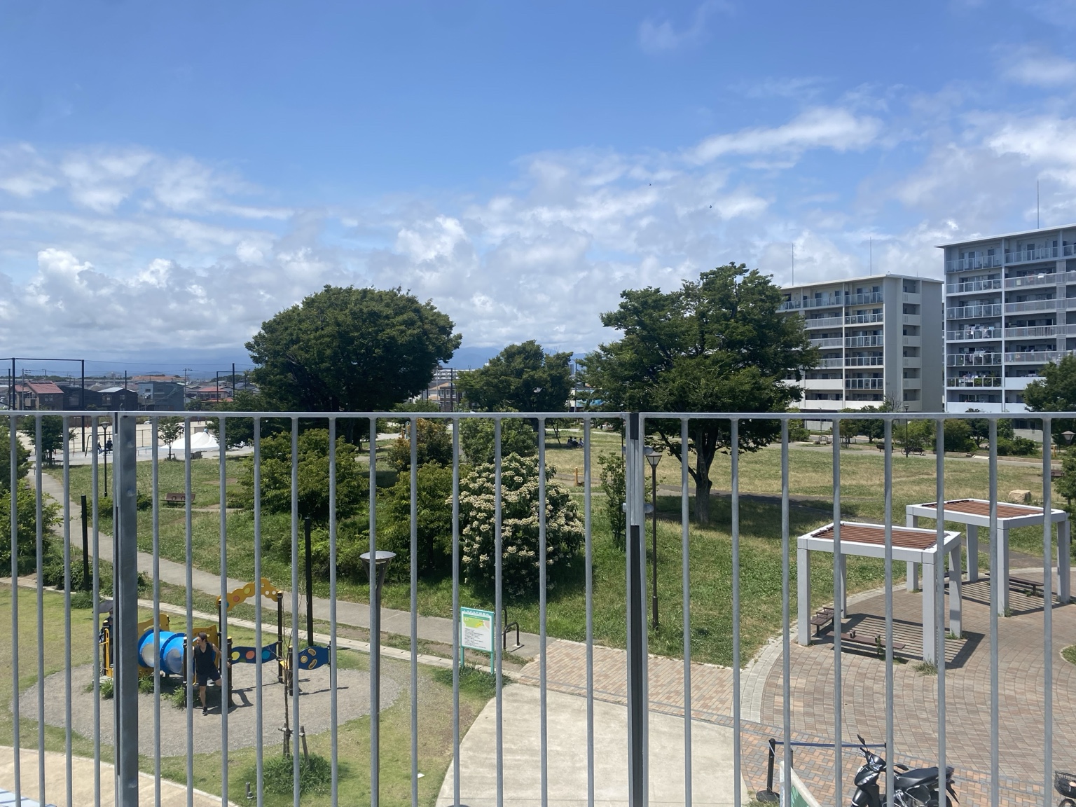 フロアの窓から見える広い公園の景色