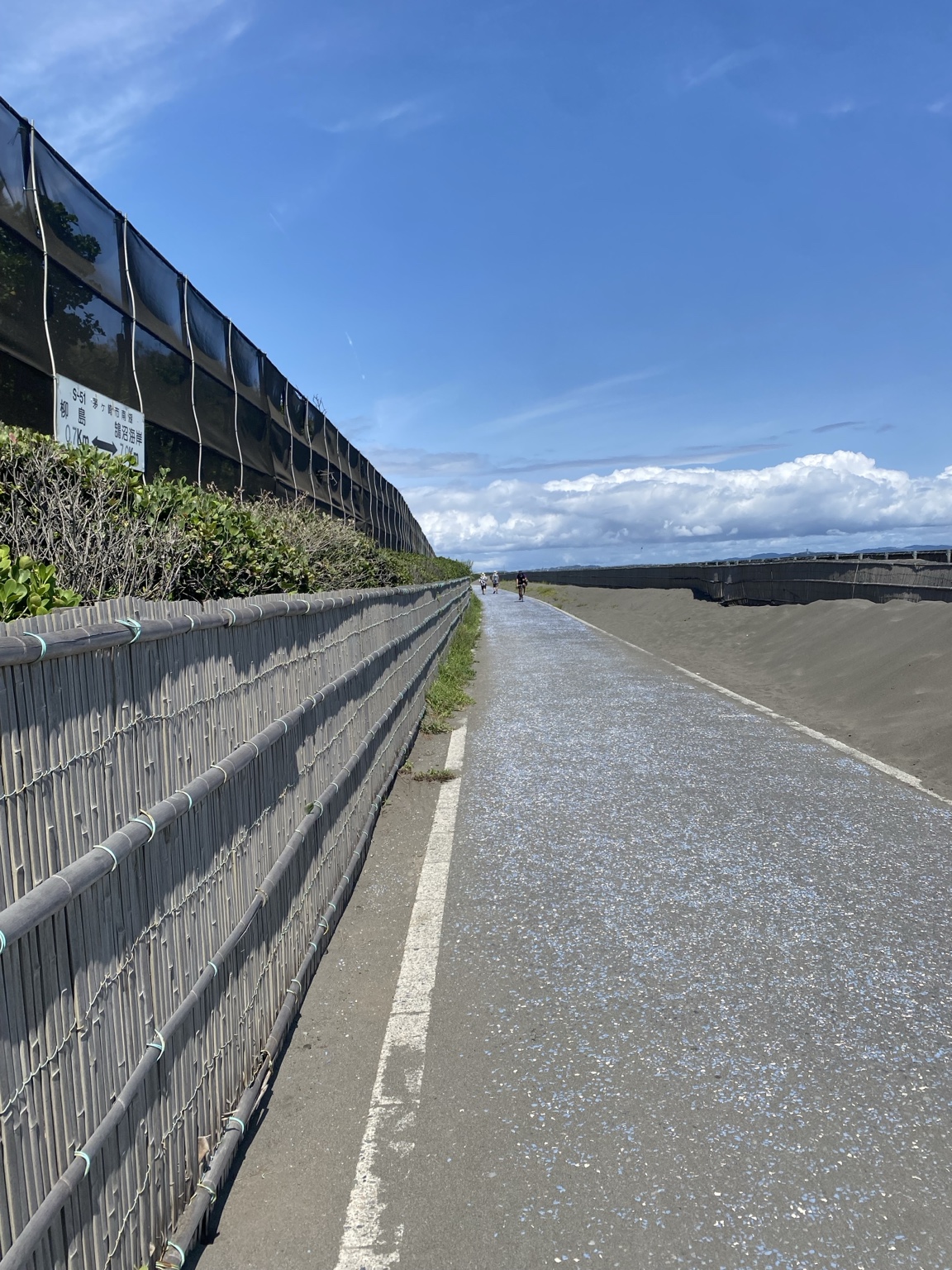 海岸沿いのサイクリング・遊歩道