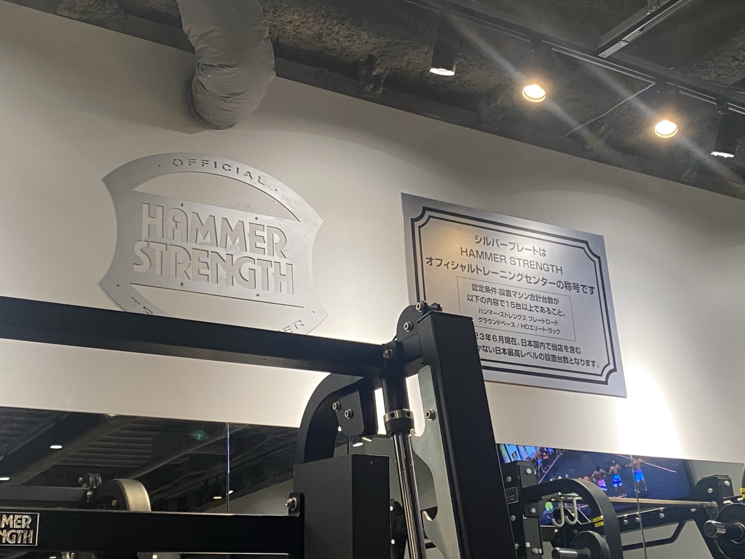 Hammer Strength Silver Plate certification plaque