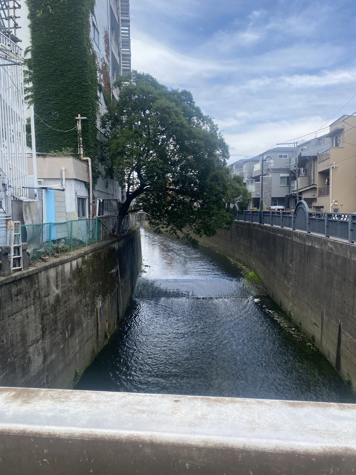 The Myojoji River area near Nakai