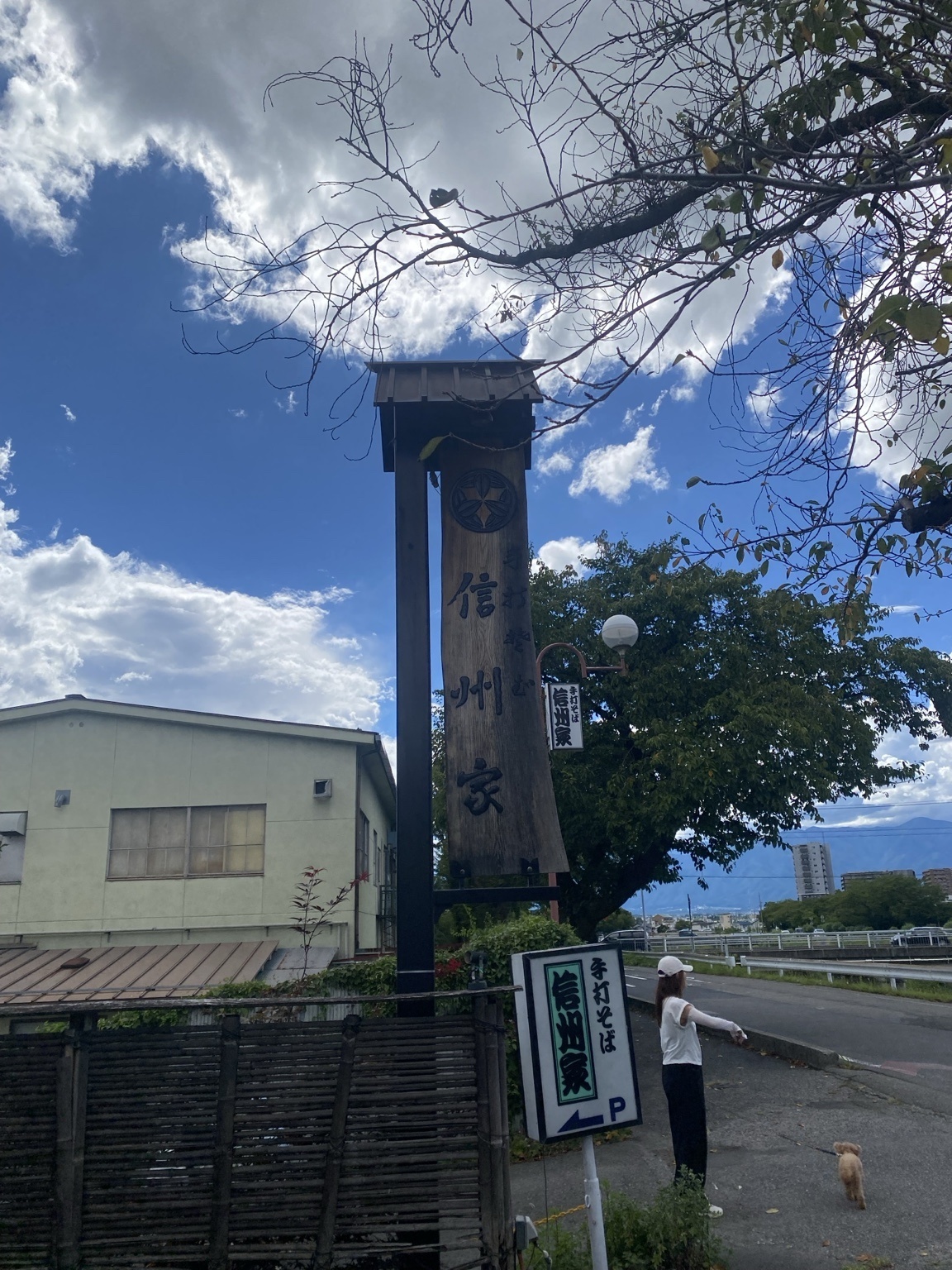 手打ちそば信州家の入口、緑色の暖簾