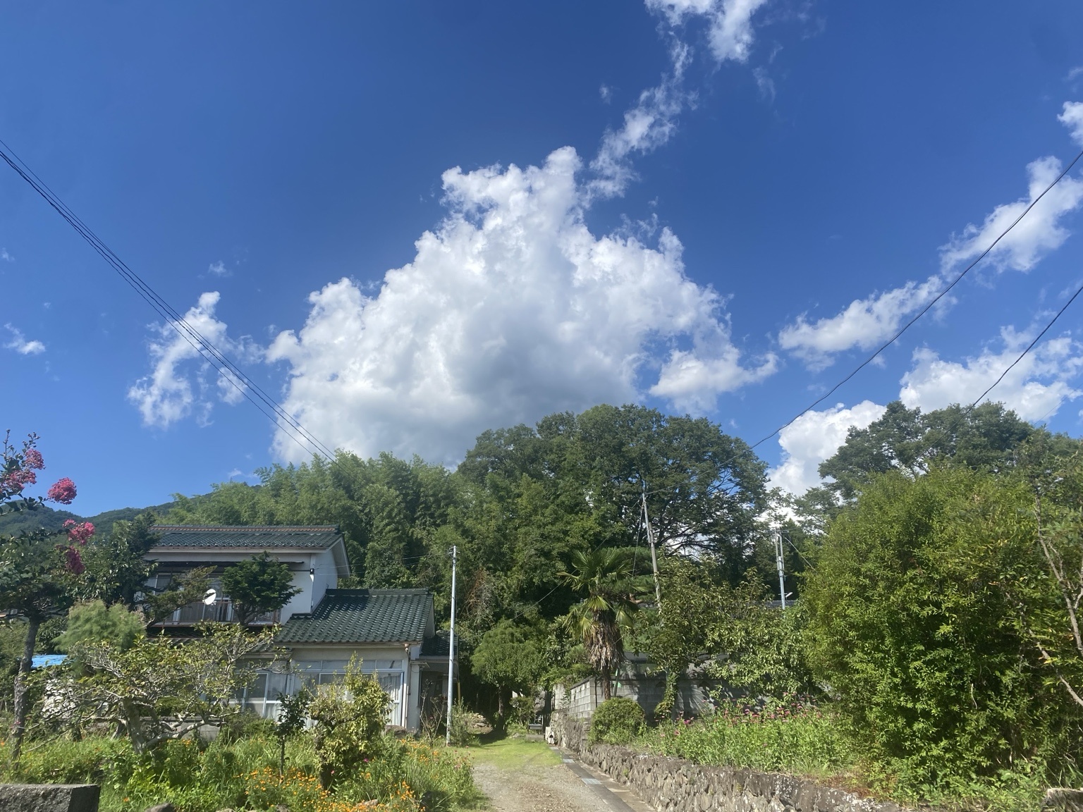 武田神社周辺の住宅地と夏の入道雲