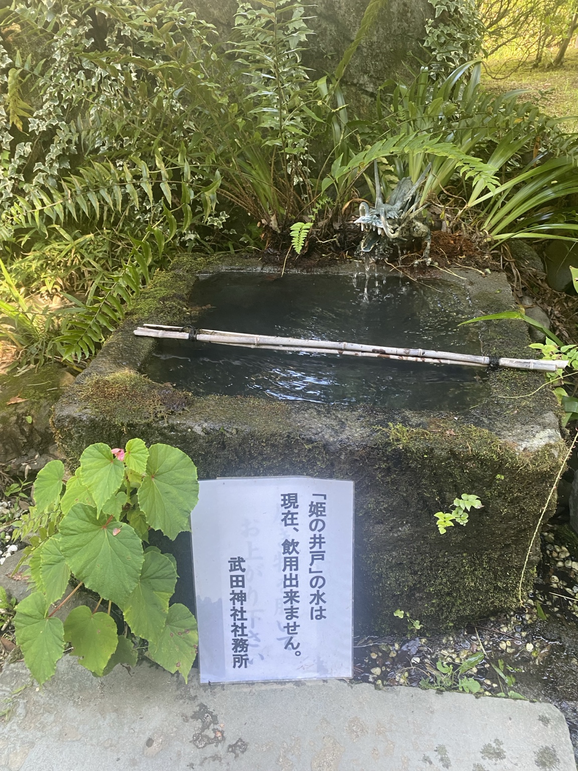 武田神社の「姫の井戸」。石造りの水槽と竹の柄杓