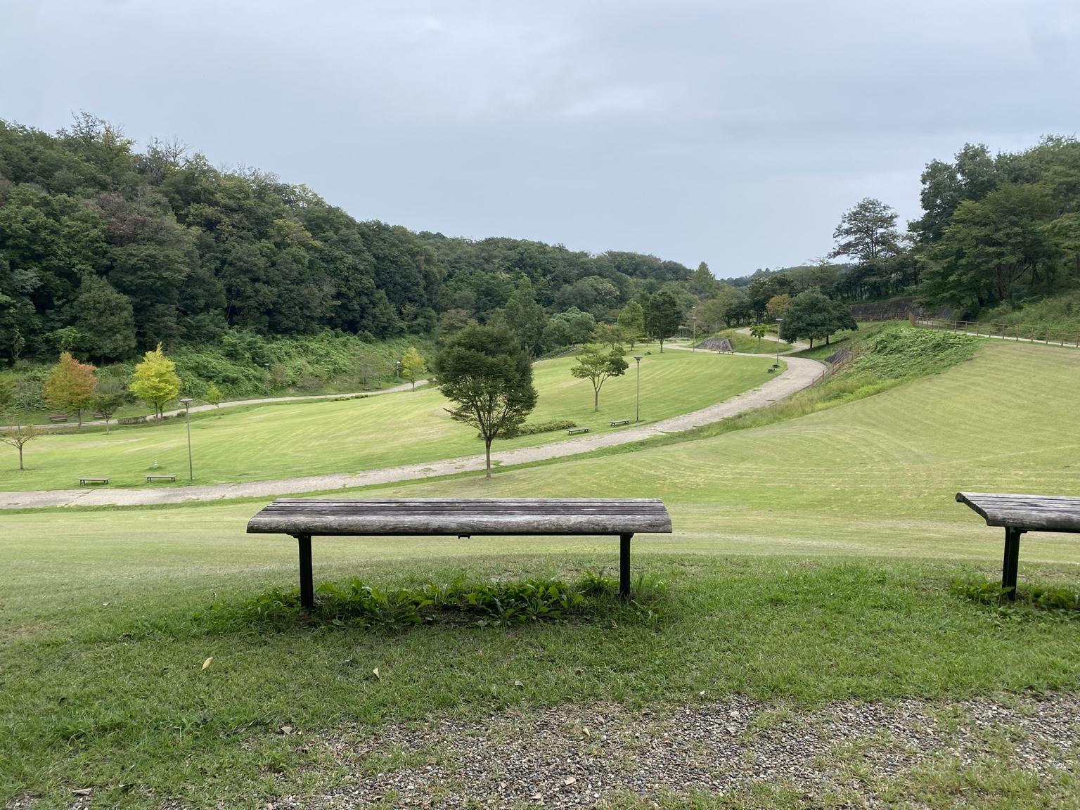 観音山公園の芝生広場とベンチ