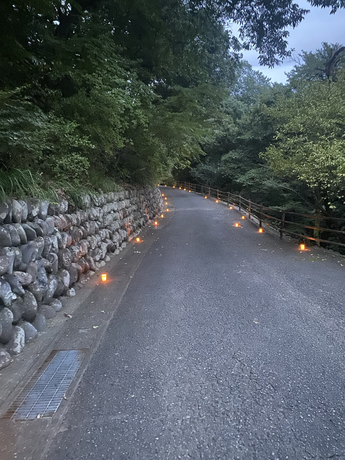 観音山の道沿いに並ぶろうそくの灯り、万灯会