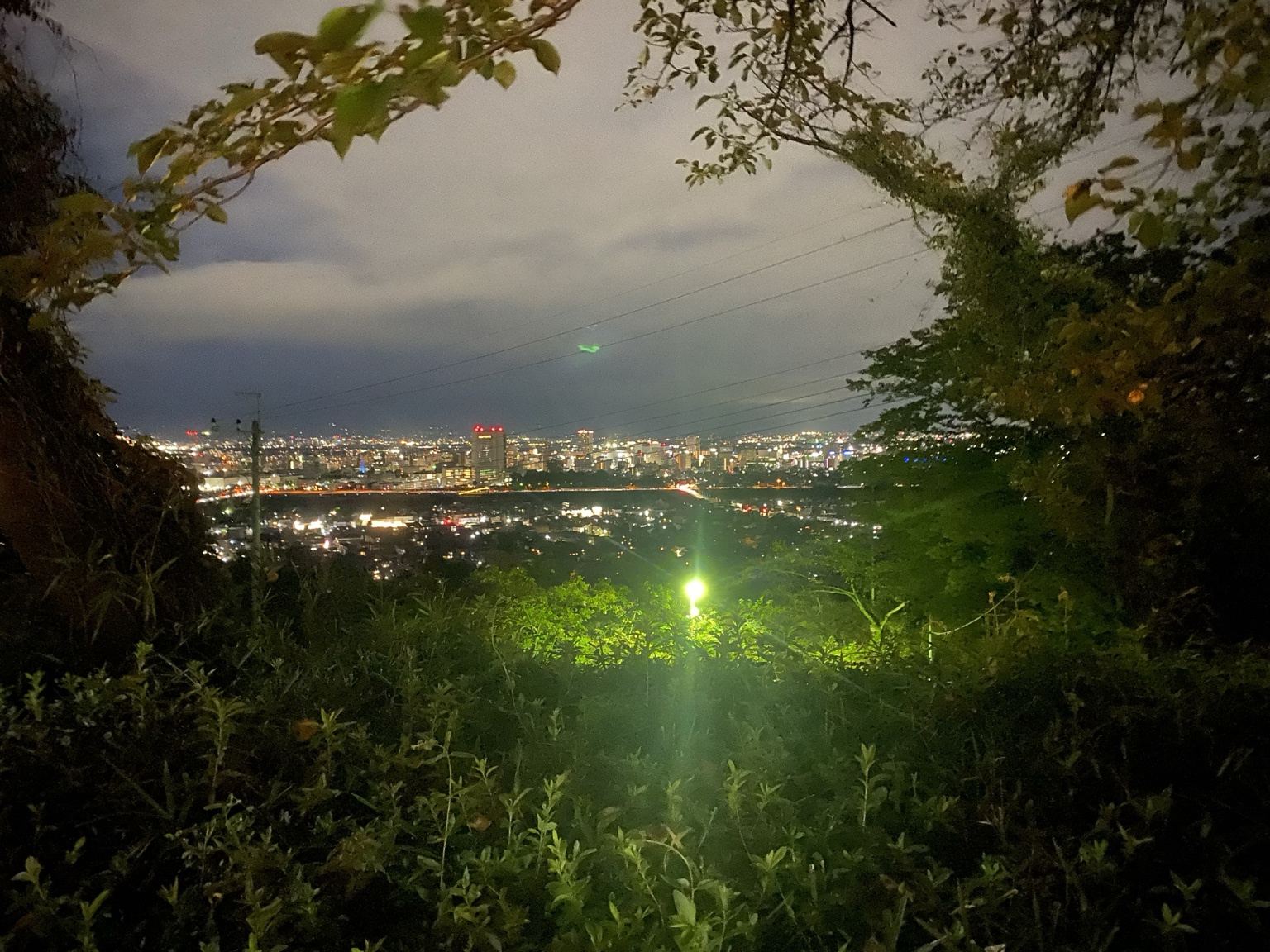 観音山から見下ろした高崎市街の夜景