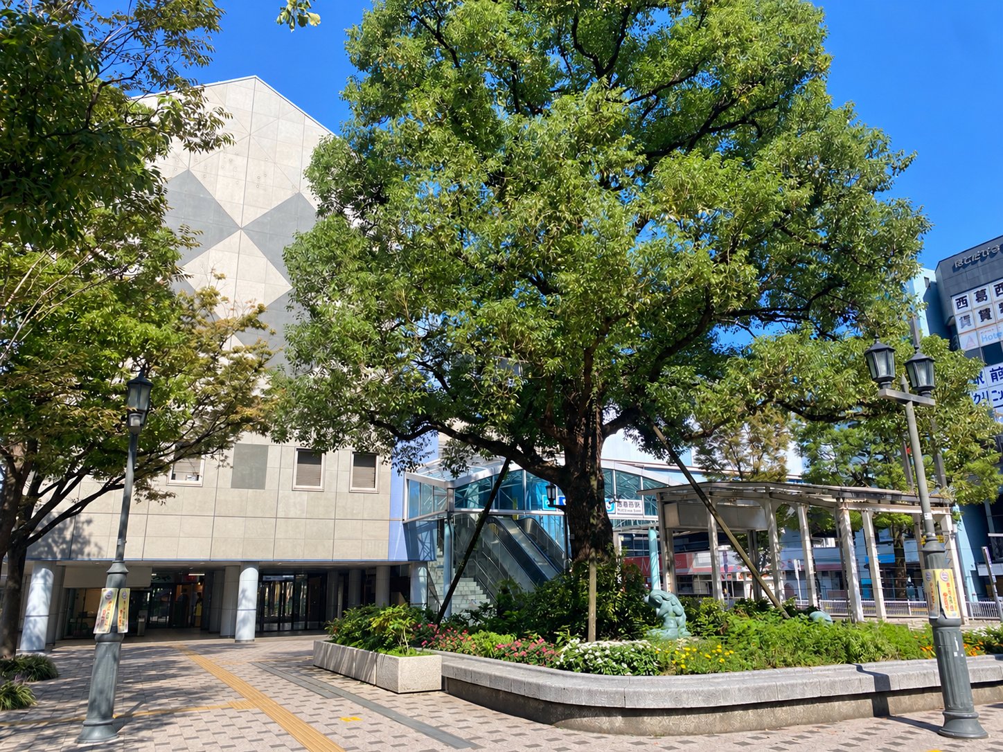 西葛西駅前の大きな木と駅舎