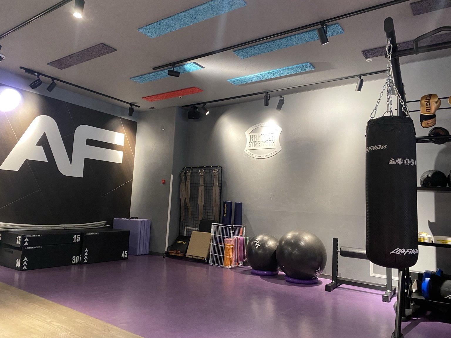 Purple-floored functional area with the HAMMER STRENGTH TRAINING CENTER emblem on the wall