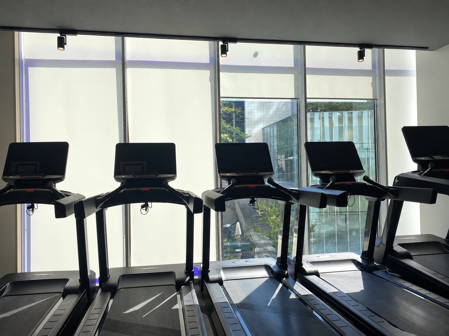 Treadmills lined up along the window at Anytime Fitness Akasaka Prudential Tower