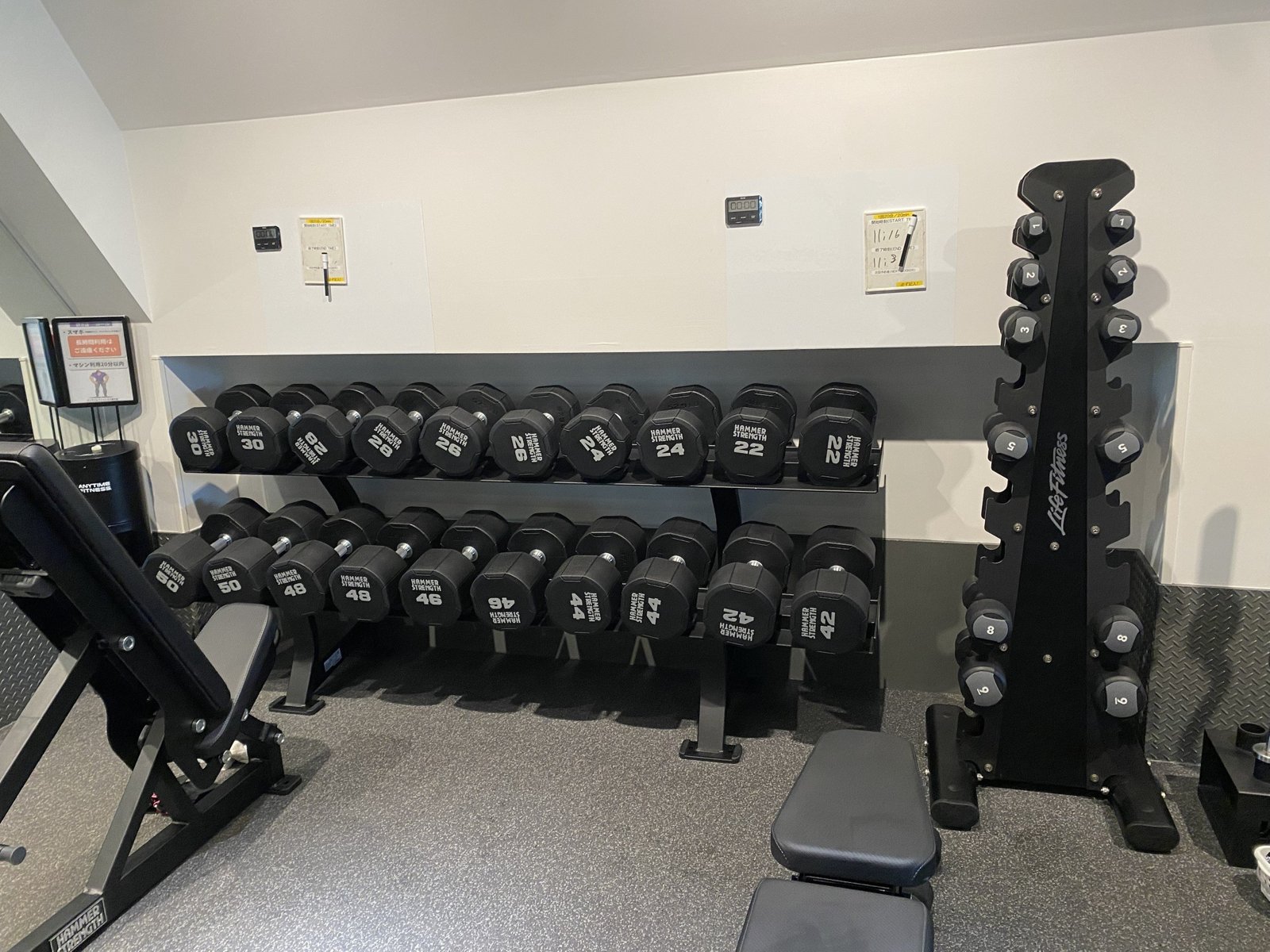 3階に並ぶHAMMER STRENGTHのダンベルラックとLife Fitnessのダンベルツリー
