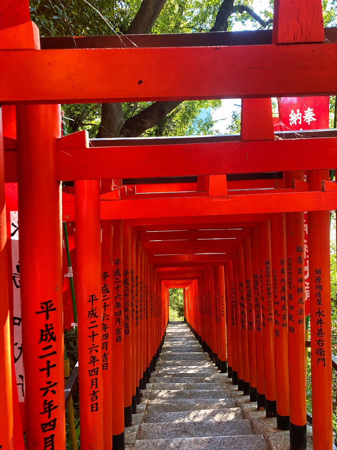 Stone steps under the tunnel of torii gates at Sanno Inari Shrine, Hie Shrine