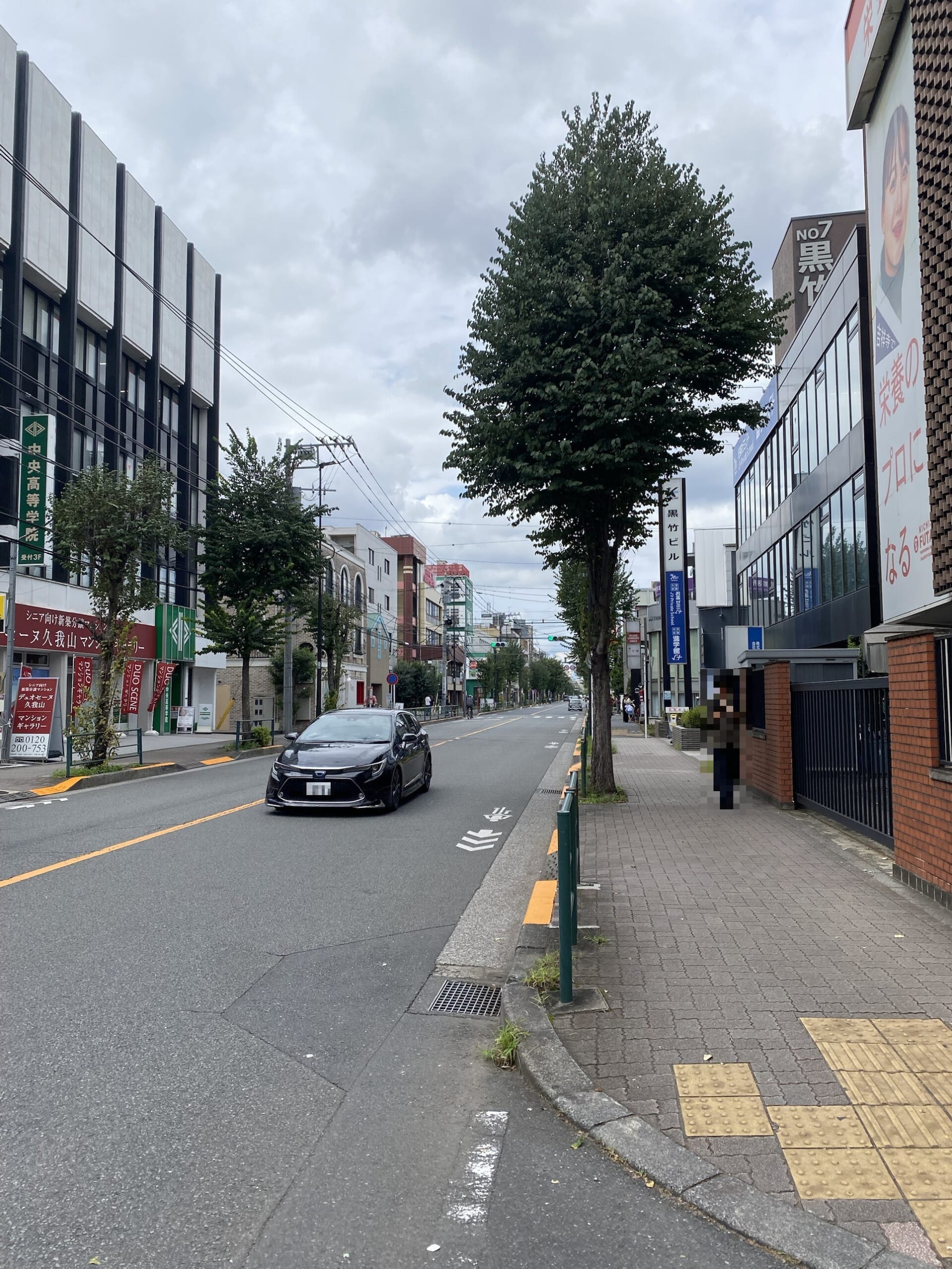 吉祥寺駅から店舗へ向かう井の頭通りの街路樹と歩道